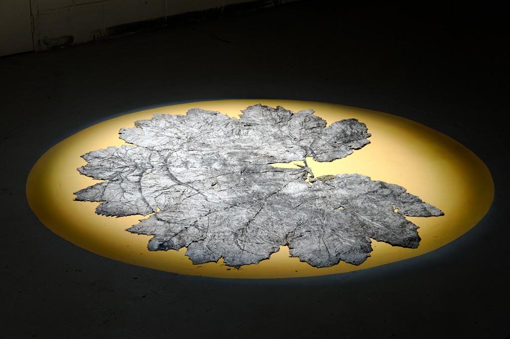 Gunnera leaf on yellow disc - Installation Image, art show April 2009