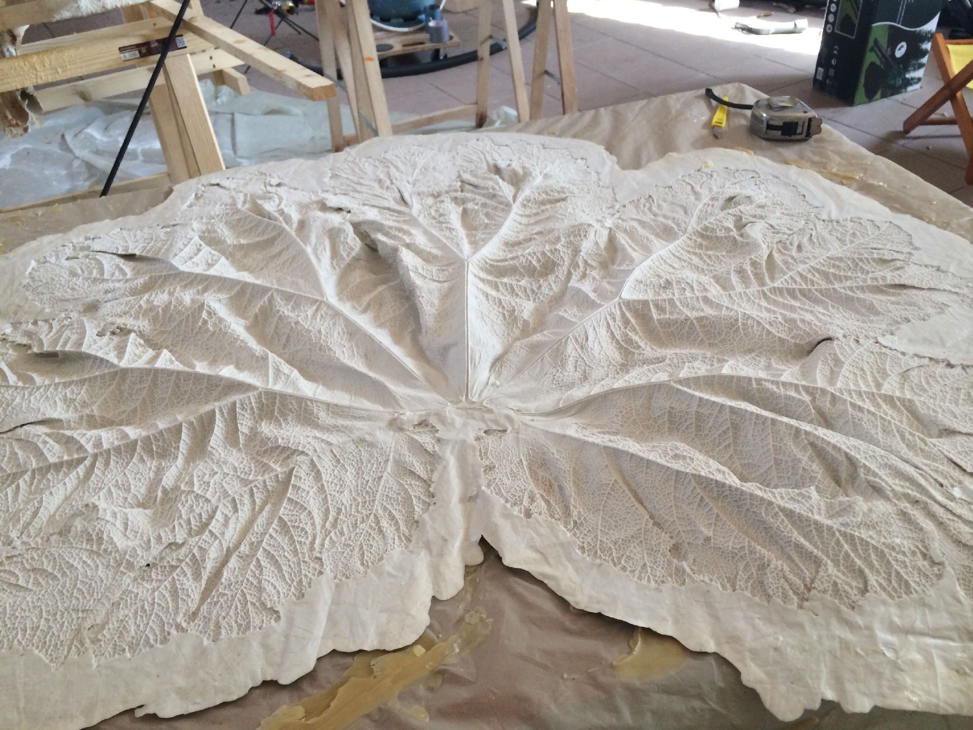 Silicon cast of Gunnera leaf 110cm x 100cm