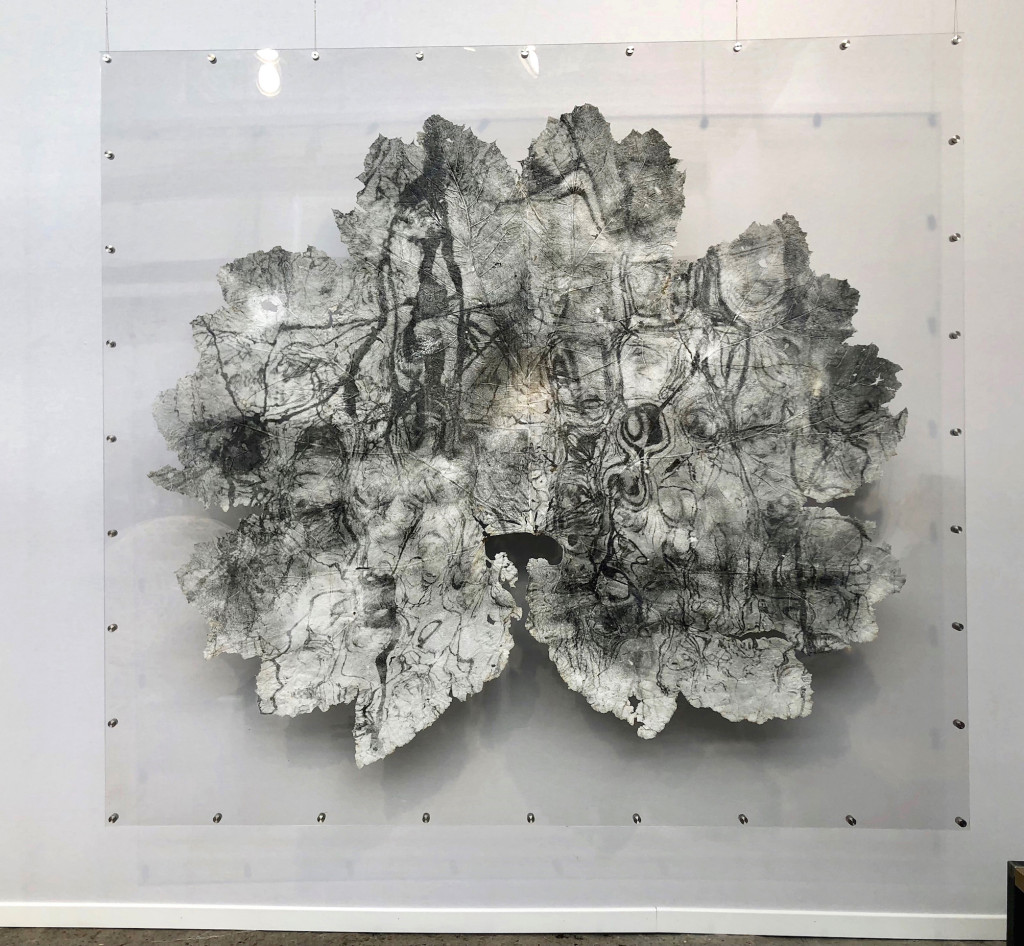 Silver Print on Gunnera Manicata leaves - ARTPARIS 2018 _ Booth A21 - Dominique Lacloche